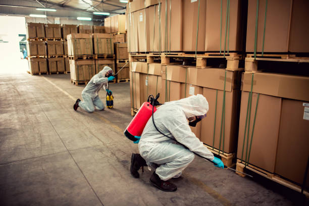 Best Ant Control Services  in Kincaid, IL