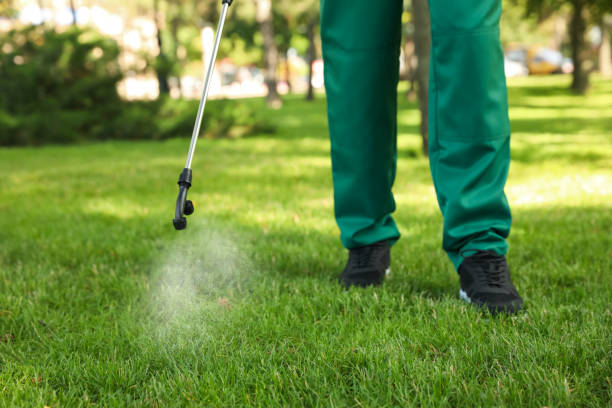 Best Cockroach Control Services  in Kincaid, IL
