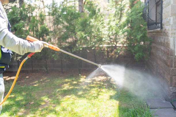 Trusted Kincaid, IL Pest Control Experts
