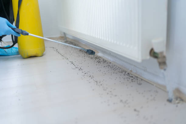 Best Best Pest Control Companies  in Kincaid, IL