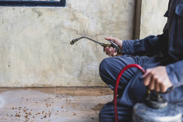 Best Pest Control Near Me in Kincaid, IL